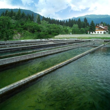Affittacamere Alle Trote Сутрио Экстерьер фото